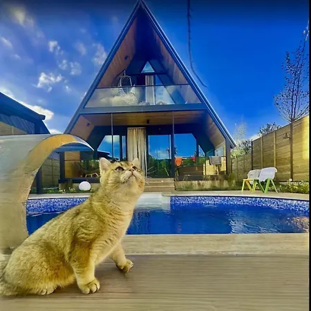 Hotel 7sense Nature Sapanca